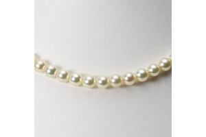 5.5mm ベビーパール・アコヤ真珠ネックレスが再入荷しました