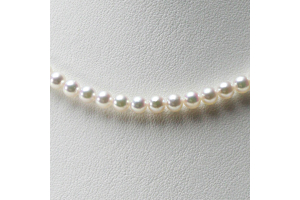 5.0mm ベビーパール・アコヤ真珠ネックレスが再入荷しました