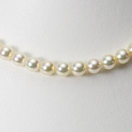 6.5mm アコヤ真珠ネックレス | Moon Label - 大月真珠オンラインショップ