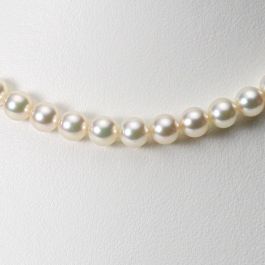 6.5mm アコヤ真珠ネックレス | Moon Label - 大月真珠オンラインショップ