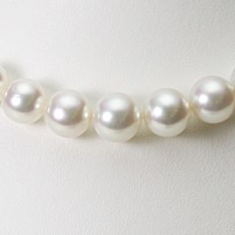 10 - 12mm 白蝶真珠（ホワイト系）ネックレス | Moon Label - 大月真珠
