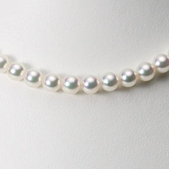 【K14/テリ最強】本真珠　パール　アコヤ　ネックレス　約6.0mm K14/テリ最強】本真珠 パール アコヤ ネックレス 約6.0mm