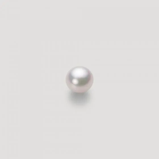 5.5mm アコヤ真珠ピアス | Moon Label - 大月真珠オンラインショップ