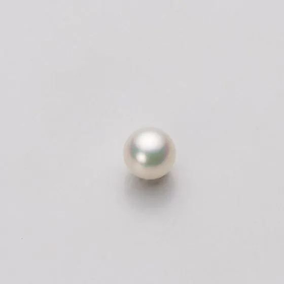 5.5mm アコヤ真珠イヤリング | Moon Label - 大月真珠オンライン