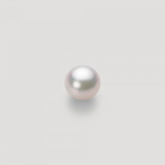 7.0mm アコヤ真珠ピアス | Moon Label - 大月真珠オンラインショップ