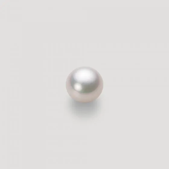 7.0mm アコヤ真珠ピアス | Moon Label - 大月真珠オンラインショップ