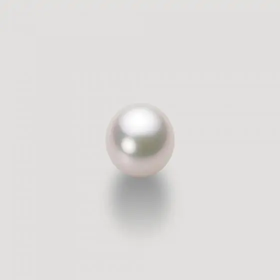 8.5mm アコヤ真珠ピアス | Moon Label - 大月真珠オンラインショップ