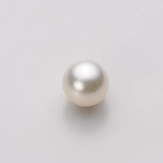 8.5mm アコヤ真珠イヤリング | Moon Label - 大月真珠オンライン