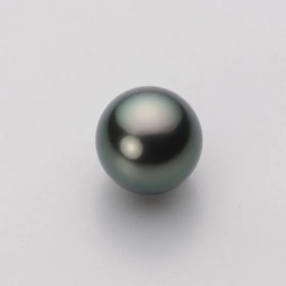 11.0mm 黒蝶真珠ピアス | Moon Label - 大月真珠オンラインショップ