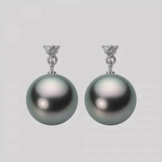 11.0mm 黒蝶真珠ピアス | Moon Label - 大月真珠オンラインショップ