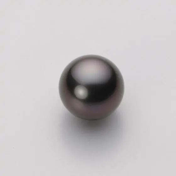 11.0mm 黒蝶真珠イヤリング | Moon Label - 大月真珠オンラインショップ
