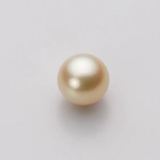 9.0mm 白蝶真珠（ゴールド系）ペンダント | Moon Label - 大月
