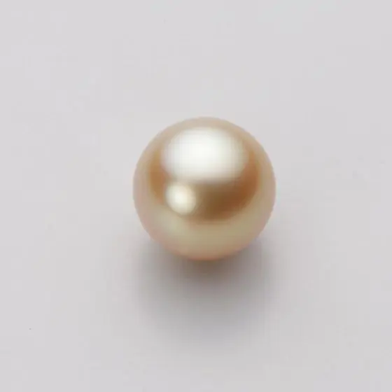10.0mm 白蝶真珠（ゴールド系）ペンダント | Moon Label - 大月真珠