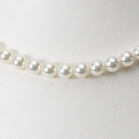 極美品 あこや真珠 グリーン系 鏡面仕上 ネックレス 8.1〜8.4㎜ O309 オーロラ天女あこや真珠ネックレス8.5-9.0㎜ペア付きTOP ELEGANT