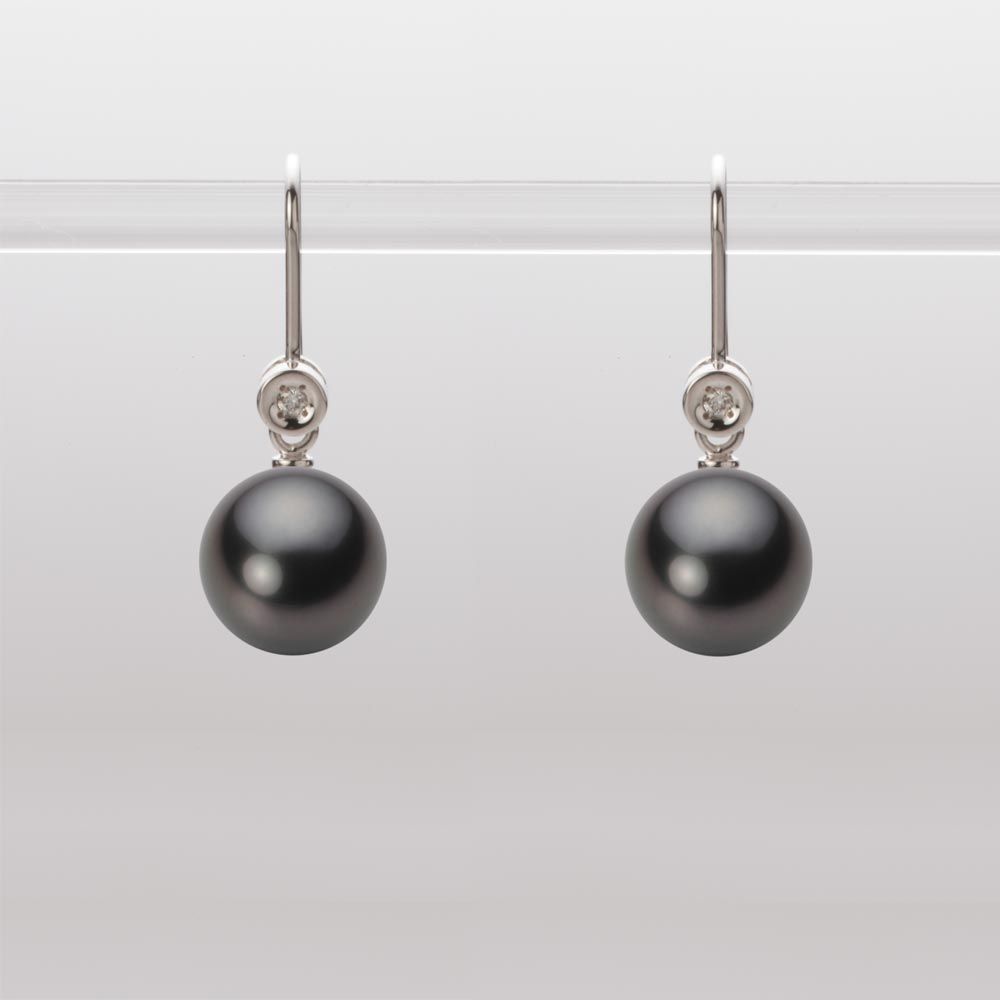 8.0mm 黒蝶真珠ピアス