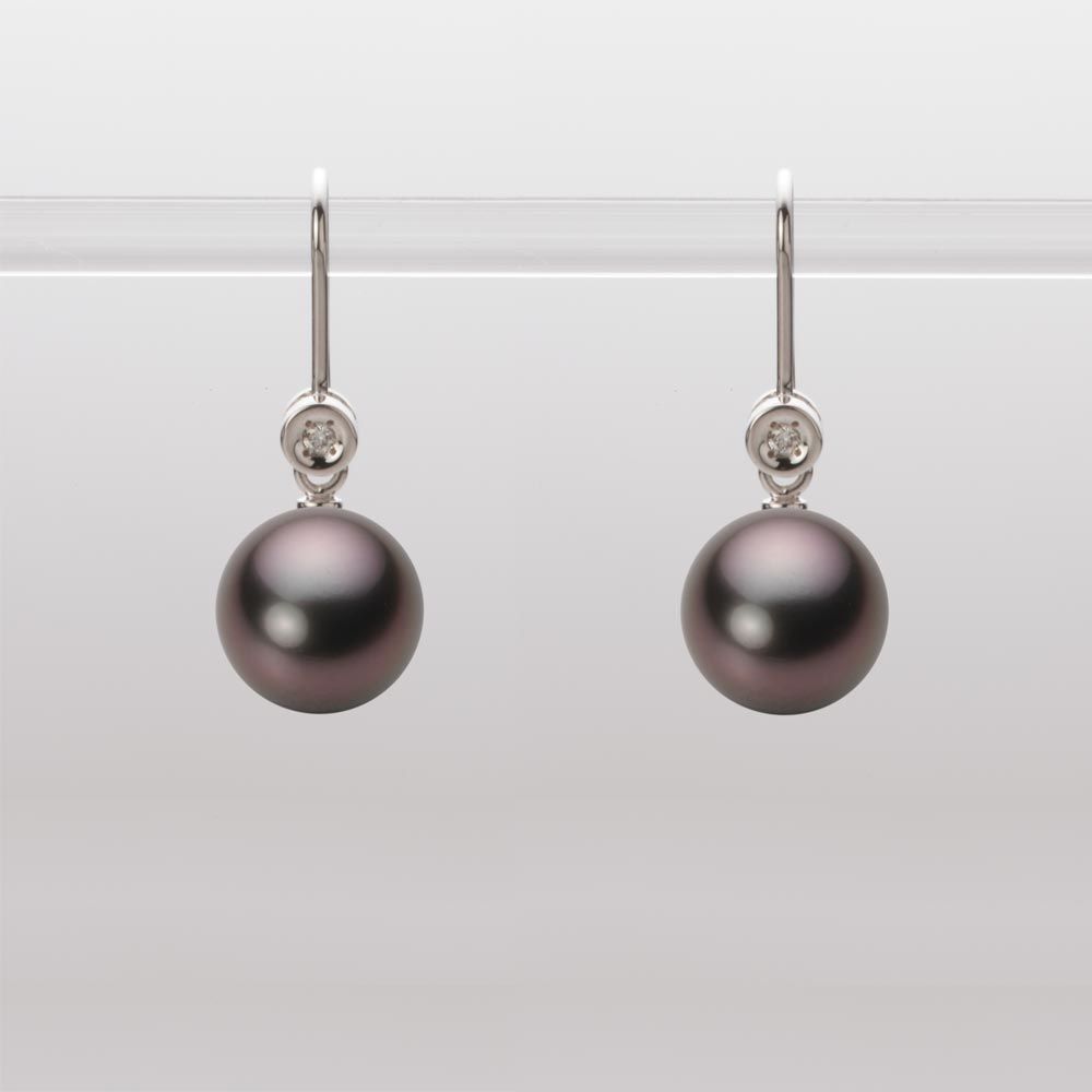 8.0mm 黒蝶真珠ピアス