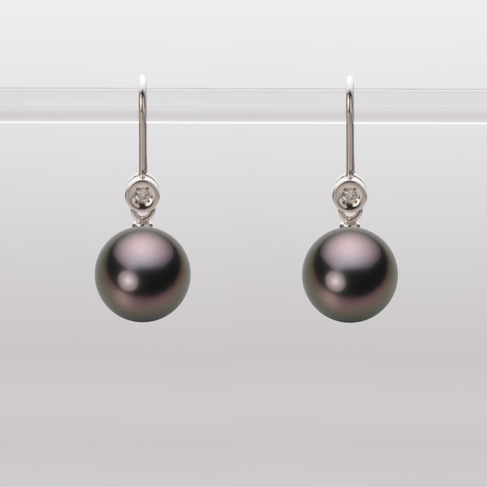 8.0mm 黒蝶真珠ピアス