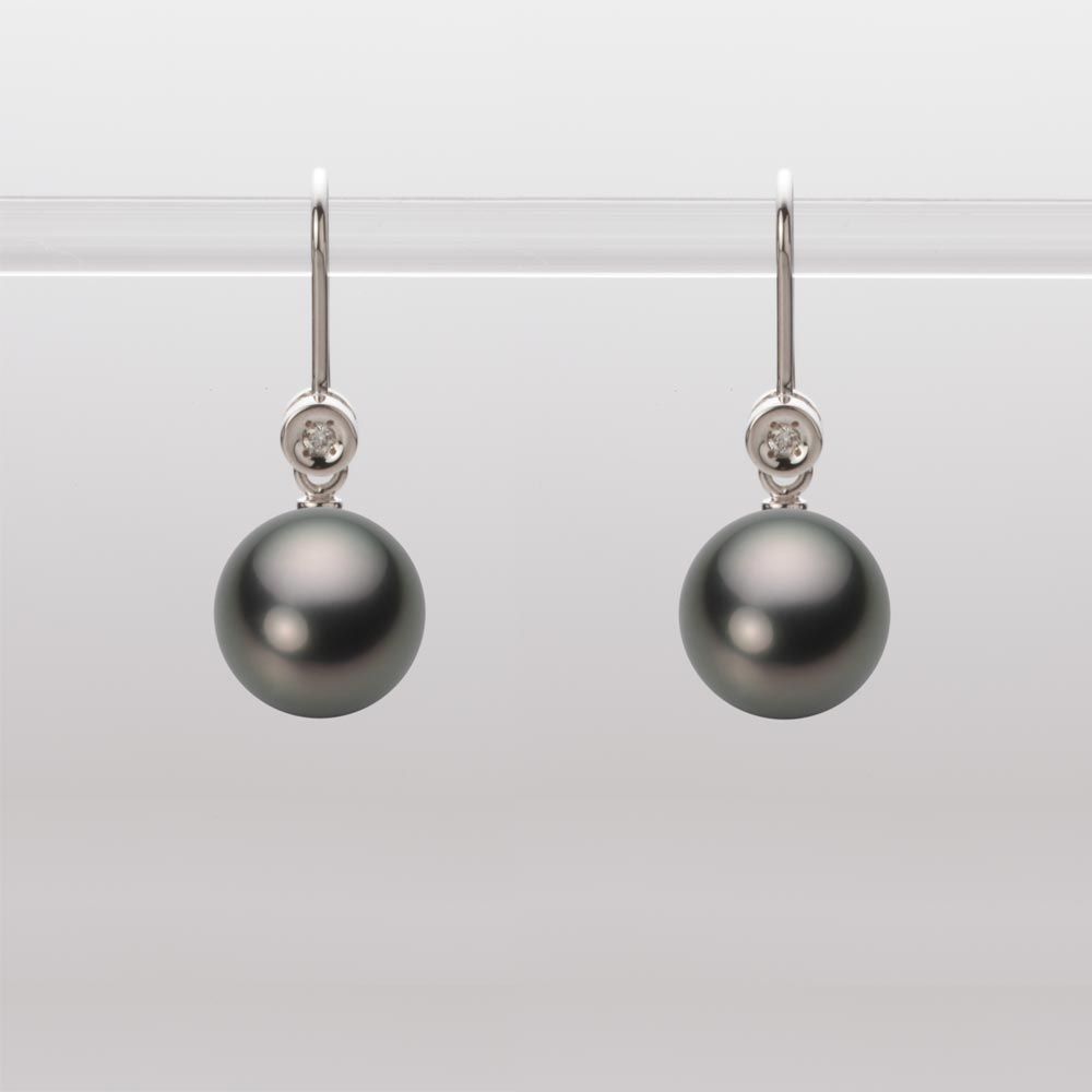 8.0mm 黒蝶真珠ピアス