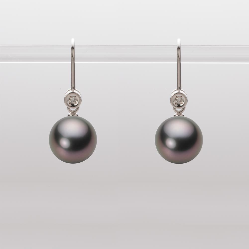 8.0mm 黒蝶真珠ピアス