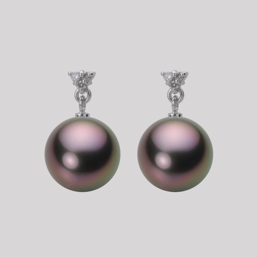 10.0mm 黒蝶真珠ピアス