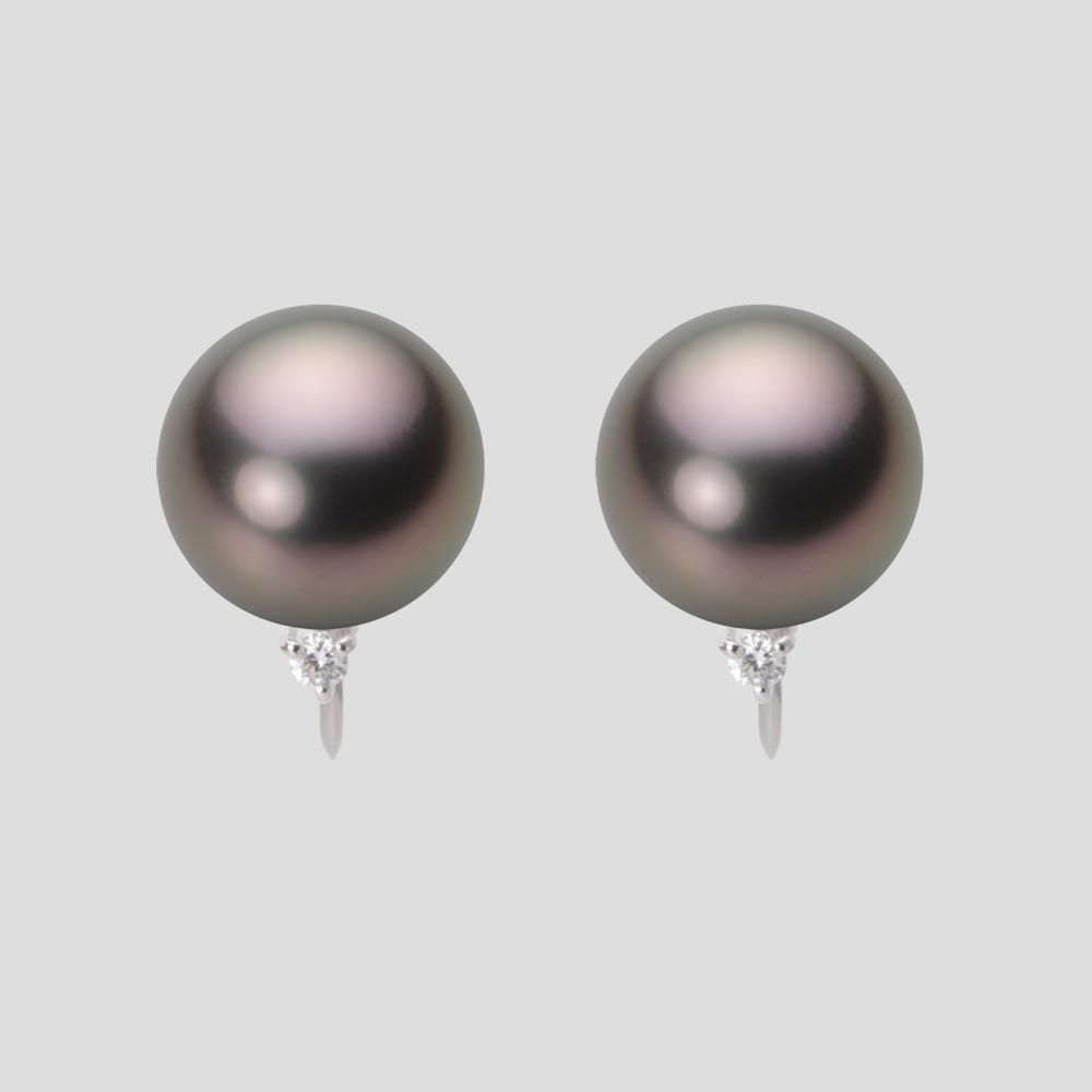 10.0mm 黒蝶真珠イヤリング