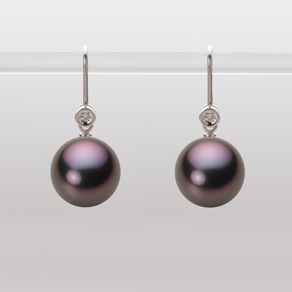 11.0mm 黒蝶真珠ピアス
