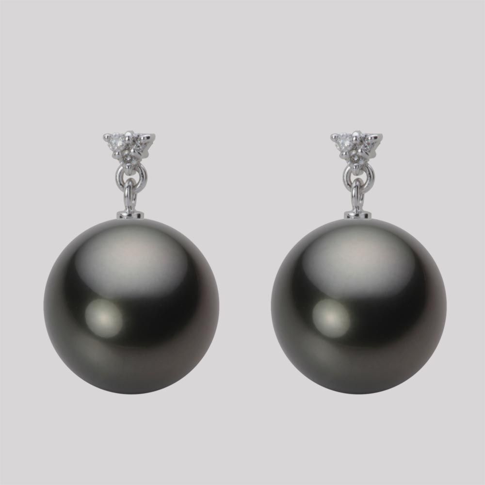 12.0mm 黒蝶真珠ピアス