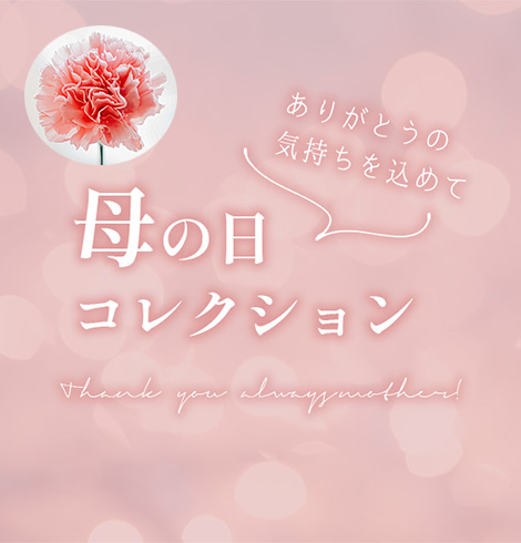 母の日コレクション